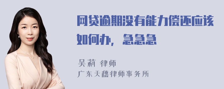 网贷逾期没有能力偿还应该如何办，急急急