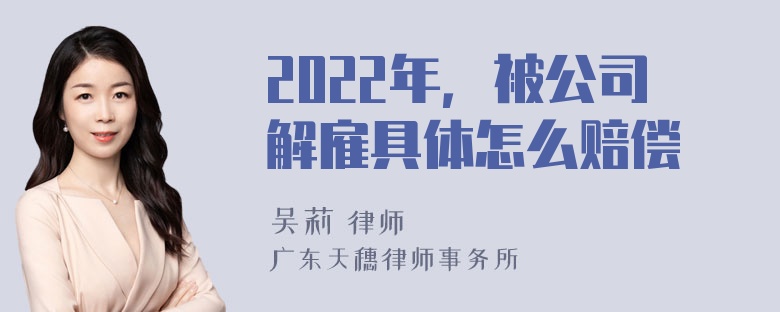 2022年，被公司解雇具体怎么赔偿