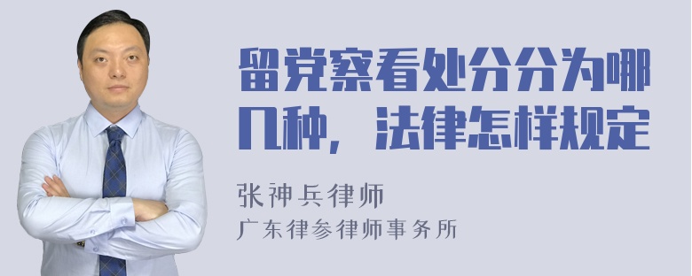 留党察看处分分为哪几种，法律怎样规定