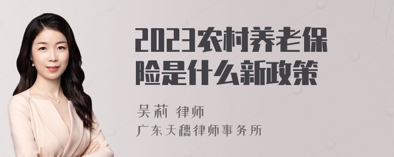 2023农村养老保险是什么新政策