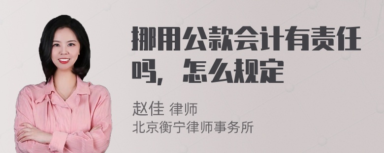 挪用公款会计有责任吗，怎么规定