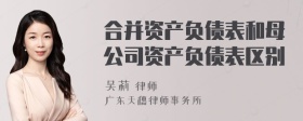 合并资产负债表和母公司资产负债表区别