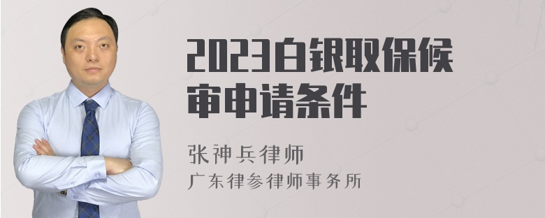 2023白银取保候审申请条件