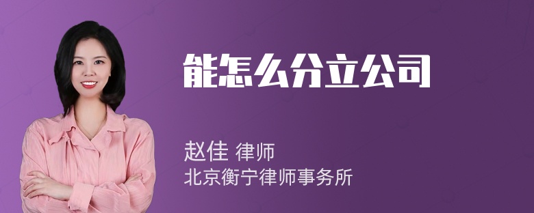 能怎么分立公司