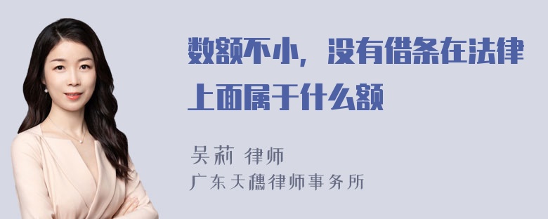 数额不小，没有借条在法律上面属于什么额