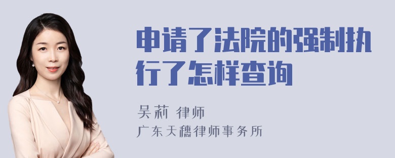 申请了法院的强制执行了怎样查询