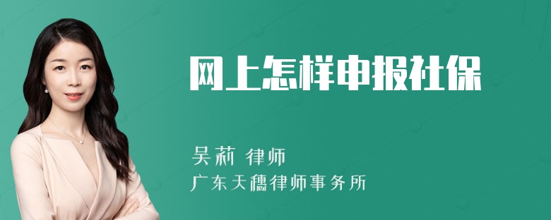 网上怎样申报社保