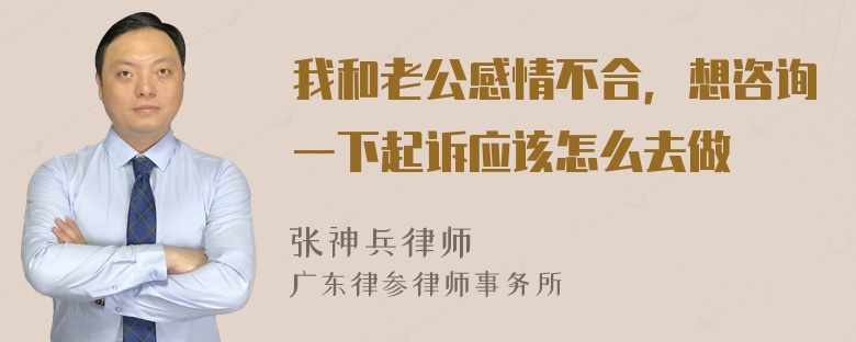 我和老公感情不合，想咨询一下起诉应该怎么去做