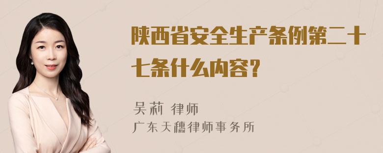 陕西省安全生产条例第二十七条什么内容？