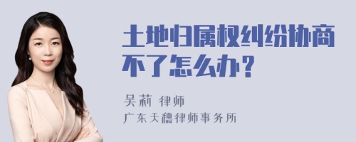 土地归属权纠纷协商不了怎么办？