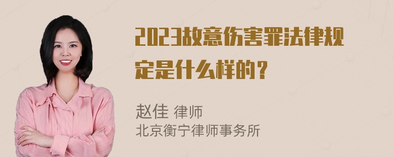 2023故意伤害罪法律规定是什么样的？