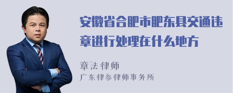 安徽省合肥市肥东县交通违章进行处理在什么地方