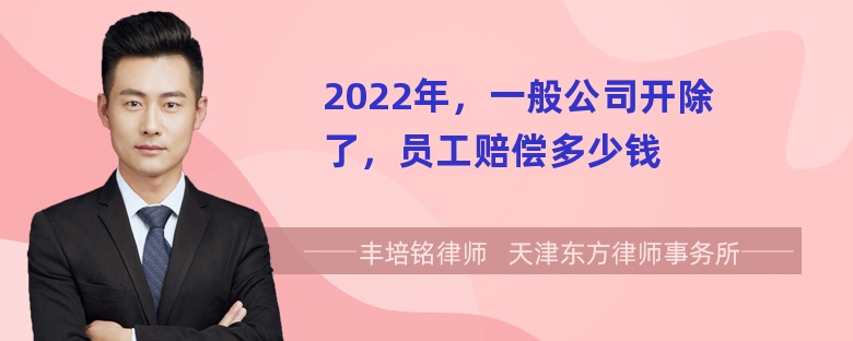 2022年，一般公司开除了，员工赔偿多少钱