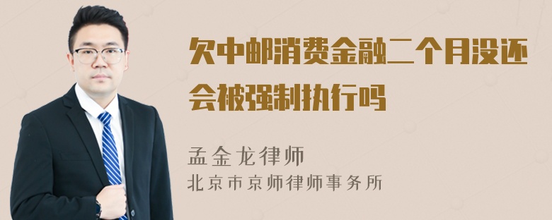 欠中邮消费金融二个月没还会被强制执行吗