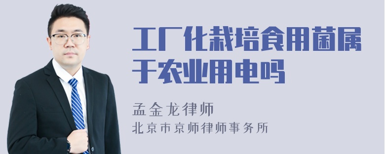 工厂化栽培食用菌属于农业用电吗
