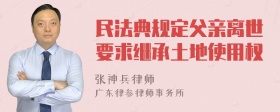 民法典规定父亲离世要求继承土地使用权