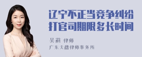 辽宁不正当竞争纠纷打官司期限多长时间