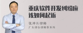 重庆软件开发纠纷应该如何起诉