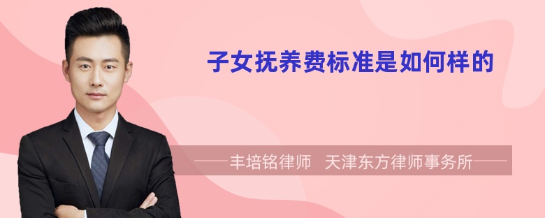 子女抚养费标准是如何样的