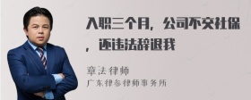 入职三个月，公司不交社保，还违法辞退我