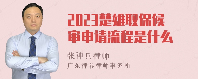 2023楚雄取保候审申请流程是什么