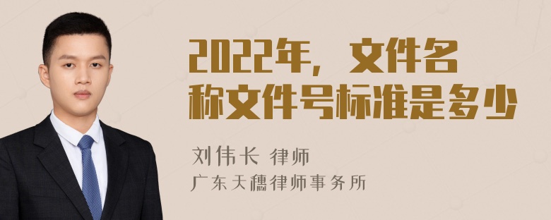 2022年，文件名称文件号标准是多少