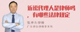 诉讼代理人是律师吗，有哪些法律规定