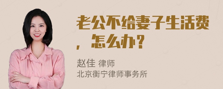 老公不给妻子生活费，怎么办？