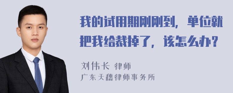 我的试用期刚刚到，单位就把我给裁掉了，该怎么办？