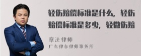 轻伤赔偿标准是什么，轻伤赔偿标准是多少，轻微伤赔