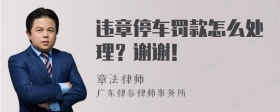 违章停车罚款怎么处理？谢谢！