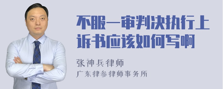 不服一审判决执行上诉书应该如何写啊