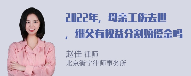 2022年，母亲工伤去世，继父有权益分割赔偿金吗