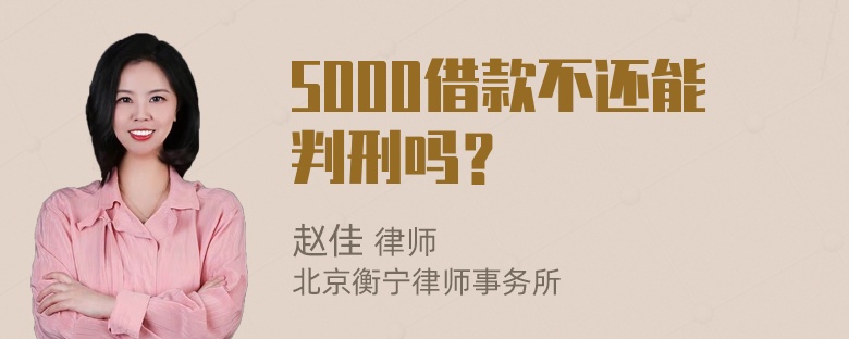 5000借款不还能判刑吗？