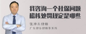 我咨询一个社保问题稽核处罚规定是哪些