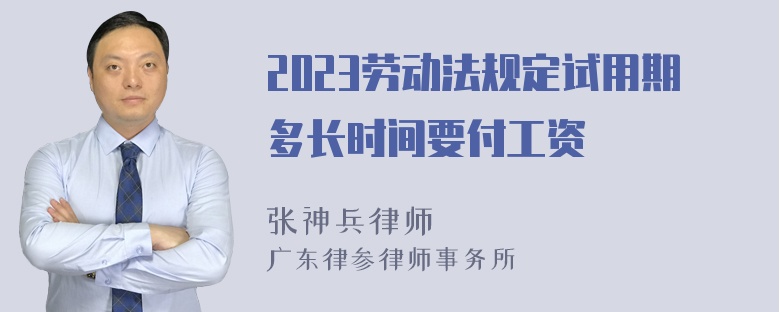 2023劳动法规定试用期多长时间要付工资