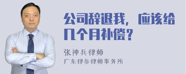 公司辞退我，应该给几个月补偿？