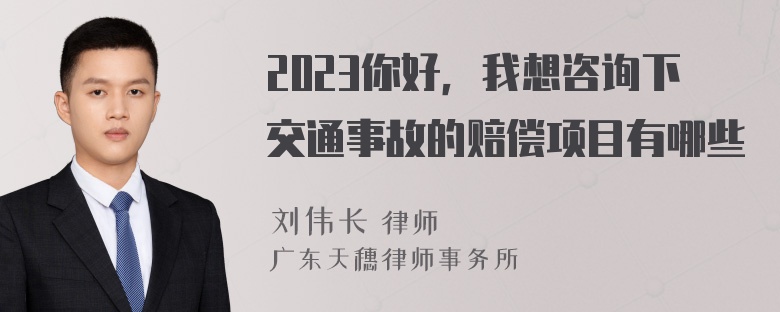 2023你好，我想咨询下交通事故的赔偿项目有哪些