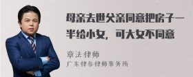 母亲去世父亲同意把房子一半给小女，可大女不同意