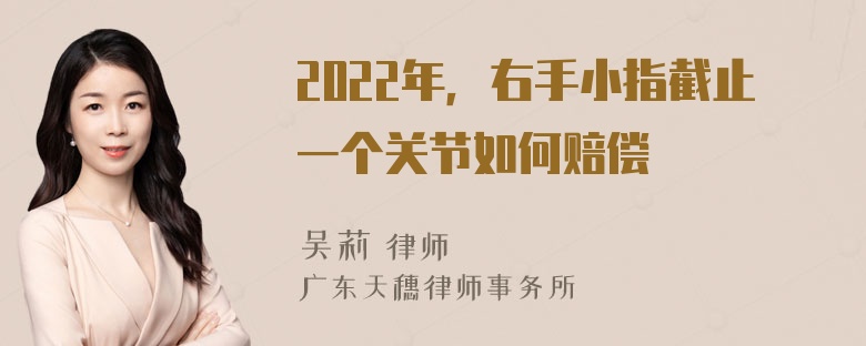 2022年，右手小指截止一个关节如何赔偿