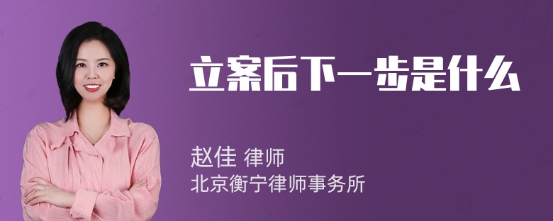 立案后下一步是什么