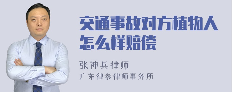 交通事故对方植物人怎么样赔偿