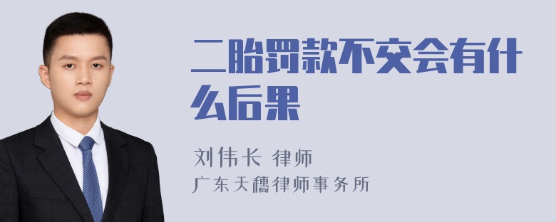 二胎罚款不交会有什么后果