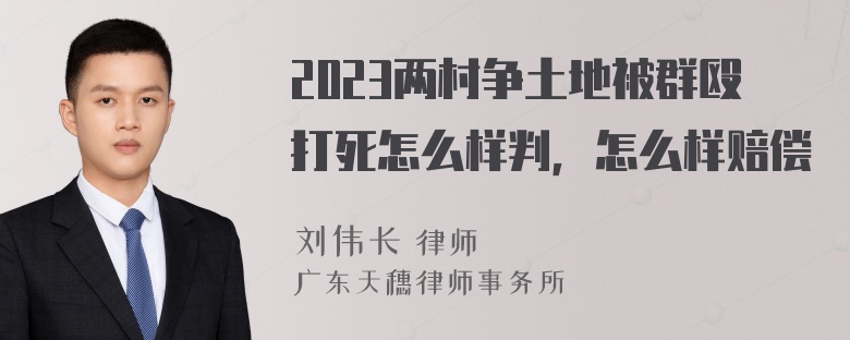 2023两村争土地被群殴打死怎么样判，怎么样赔偿