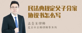 民法典规定父子分家协议书怎么写