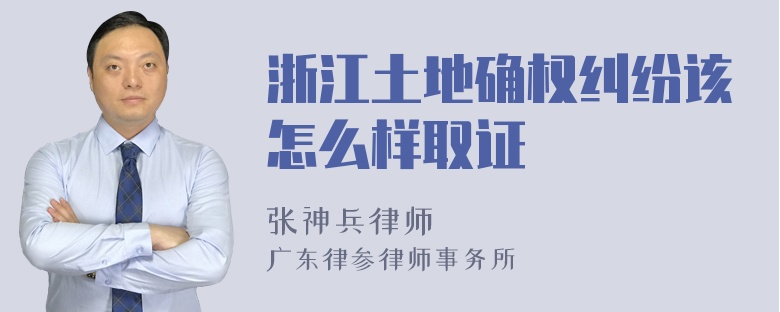 浙江土地确权纠纷该怎么样取证
