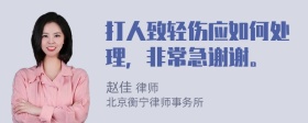 打人致轻伤应如何处理，非常急谢谢。