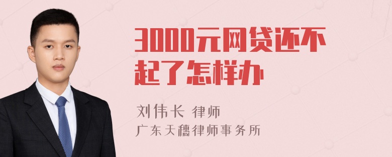 3000元网贷还不起了怎样办