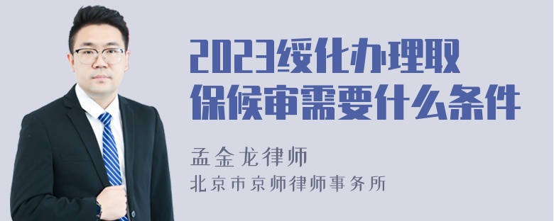 2023绥化办理取保候审需要什么条件