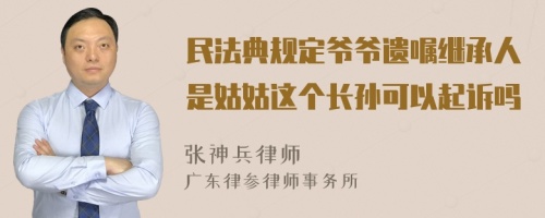 民法典规定爷爷遗嘱继承人是姑姑这个长孙可以起诉吗